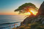 The Ayurveda Experience Reviews