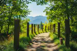 The Ayurveda Experience Reviews